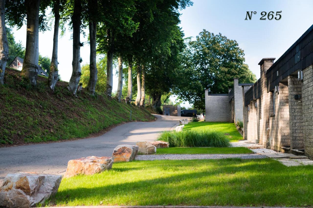 Belle Vue Villa Malmedy Ngoại thất bức ảnh